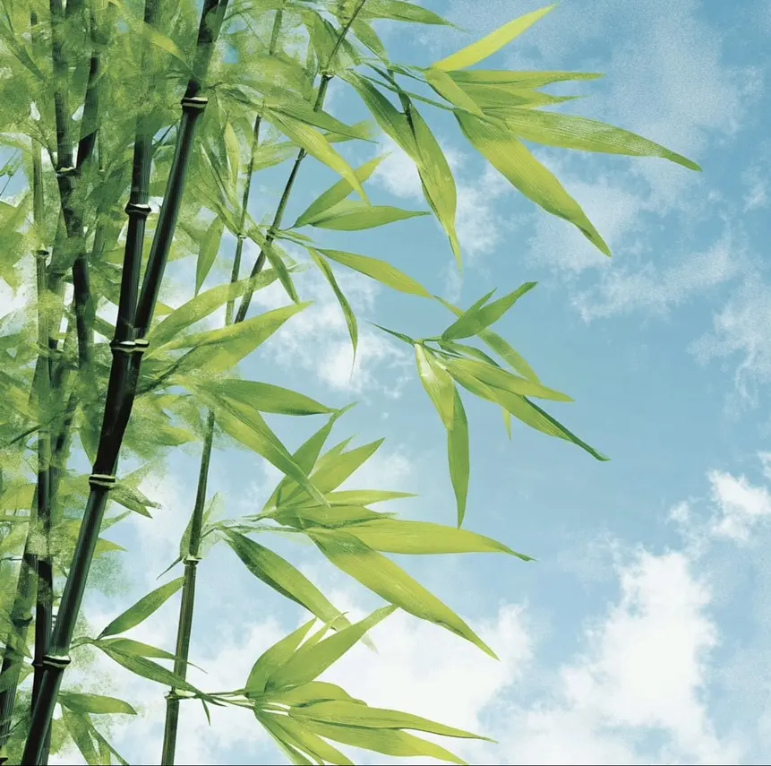 免费下载《检察官室的提案》全本无删减txt资源-检察官室的提案小说在线阅读-百度云链接获取