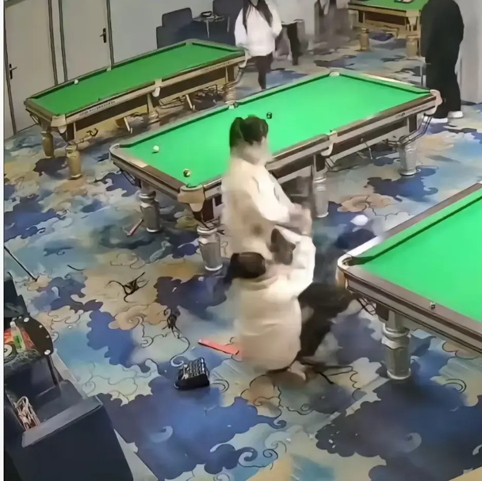 《台球厅三狠人》太震撼！精神少女在台球厅真人互锤，三女子互打完整视频全网无删减，免费在线观看速来！