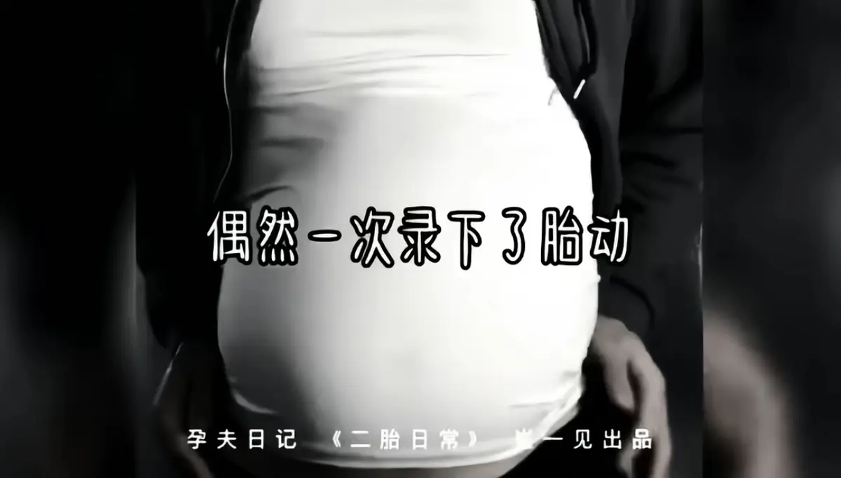 免费看《崔一见孕夫日记》全集视频，崔一见孕夫日记后续视频完整版1080P高清无广告在线播放！
