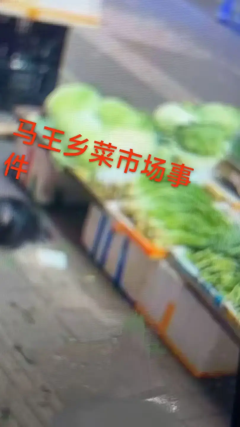 《重庆马王乡菜市场事件》完整版一手视频来袭！HD高清播放无广告，附关键节点时间标记，畅看不停！