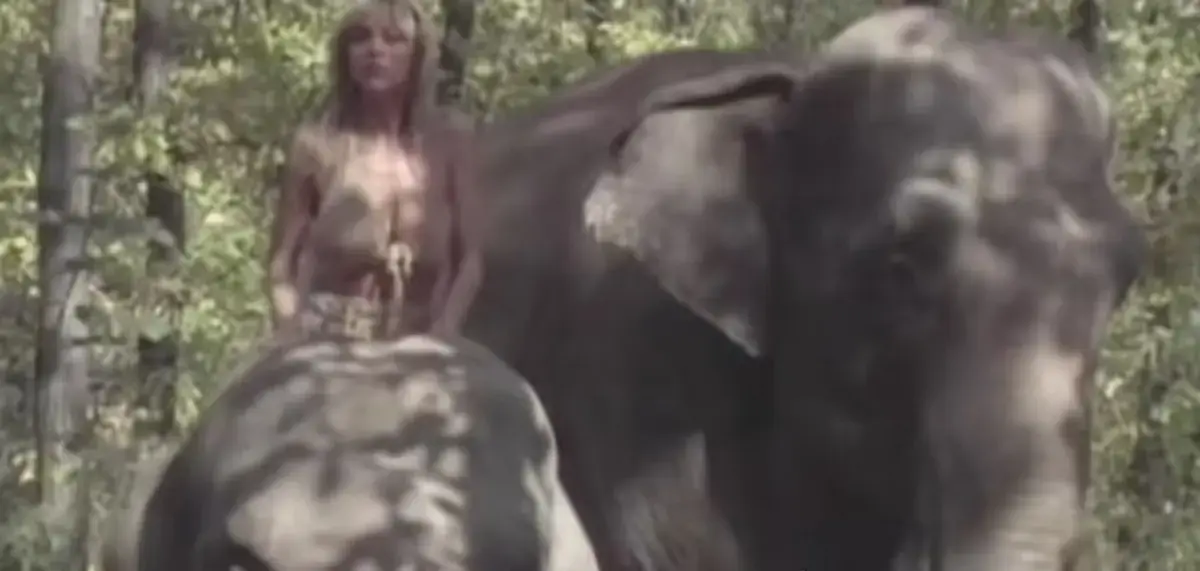 《女王的大象》<br />
《Queen of the Elephant 1977》