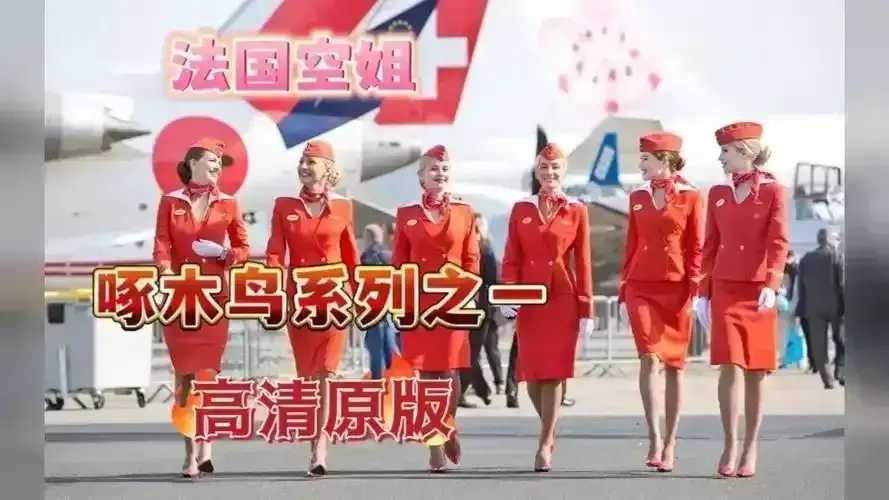 《法国空姐2019/不雅空乘》1080P高清国语中字｜无广告免费观看｜未删减完整资源｜《法国航空/法国空姐》全片原片无删｜空乘背后职场情感真相