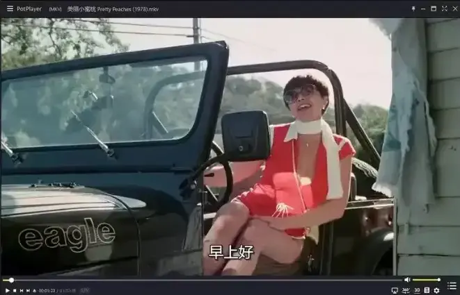《美丽小蜜桃》高清中字无删减版在线免费看_1978年经典喜剧电影纯净极速播放_策驰影院《美丽小蜜桃》最新同步更新
