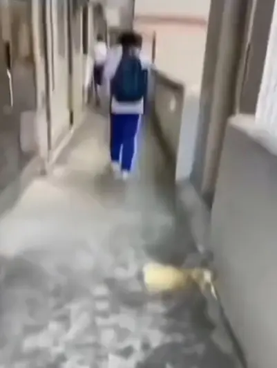 免费观看《大昌市第七中学》教室走廊的诡异身影，4K修复版流畅不卡顿，同步奉上《大昌市第七中学》调查档案，速来！
