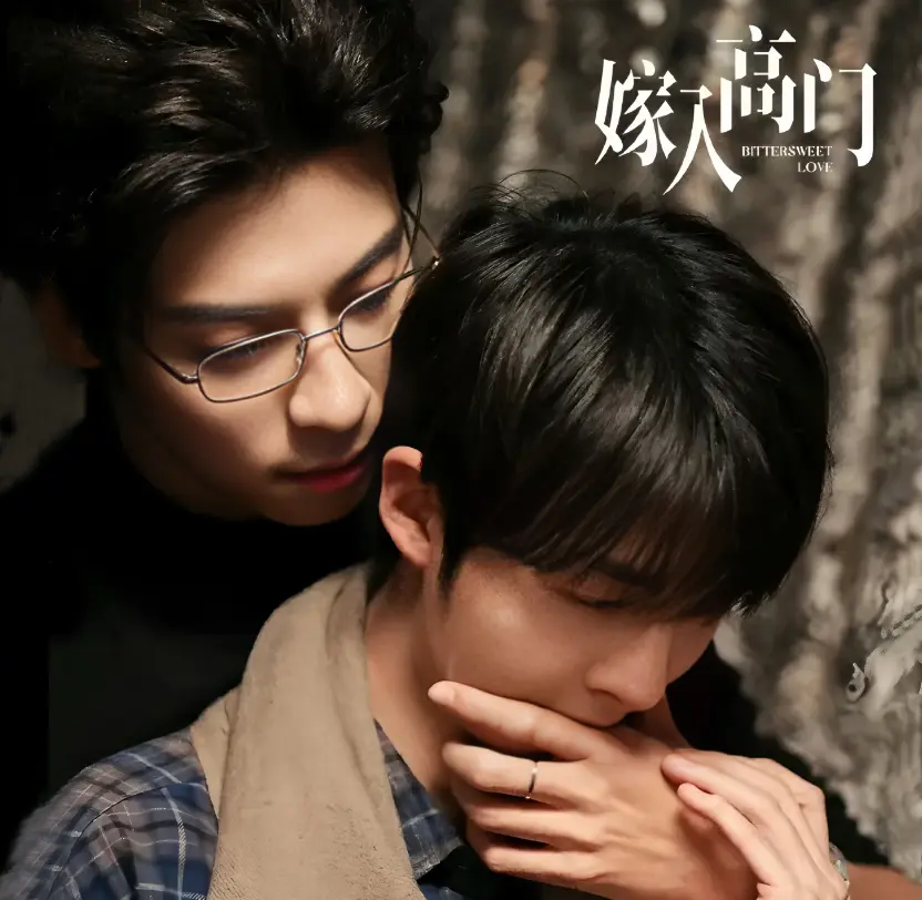 《嫁入高门的男人》蓝光画质免费在线看_双男主爱情剧《嫁入高门的男人》完整版高清无广告播放-星空影院-VS影院
