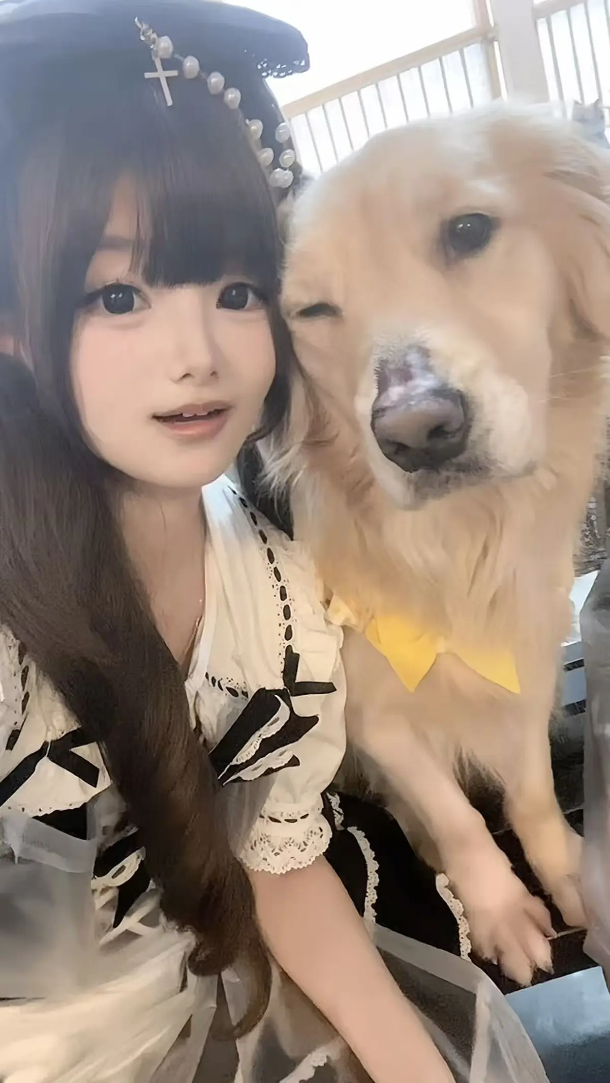 《金毛小蛋糕海鲜事件》全集在线观看，畅享无广告纯净体验 - 聚焦金毛小蛋糕与海鲜事件 - 搭配香香公主精彩剧情