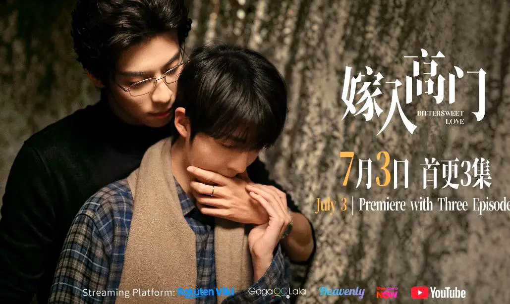 2026新剧《嫁入高门的男人》双男主爱情剧22集全季HD高清免费在线看 - 《嫁入高门的男人》无广告流畅不卡顿，VS影院同步更新